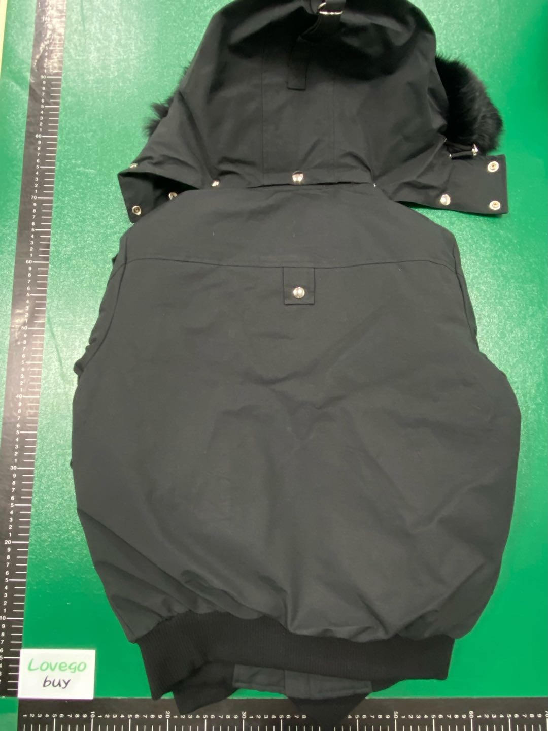 black(black fur)